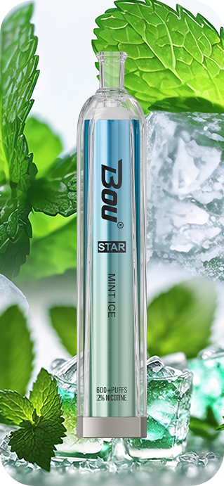 Vaper Desechable Bou star Mint  ice 🧊 🍃