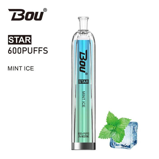 Vaper Desechable Bou star Mint  ice 🧊 🍃